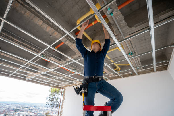 Best Affordable Plumber Near Me  in Lake Zurich, IL