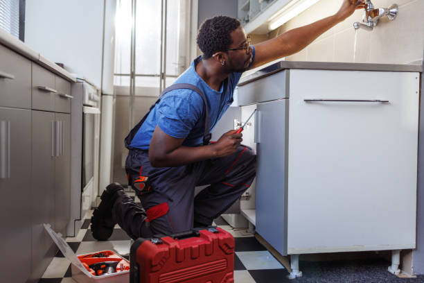 Best Plumbing Services Near Me  in Lake Zurich, IL